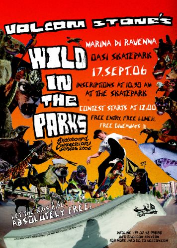 Volcom Stone's Wild in the park Flyer