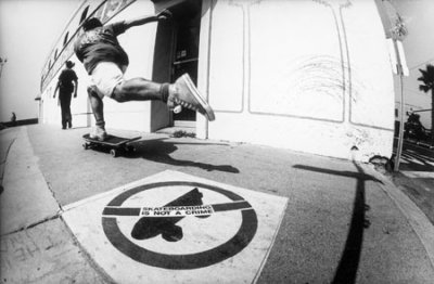Steve Rocco