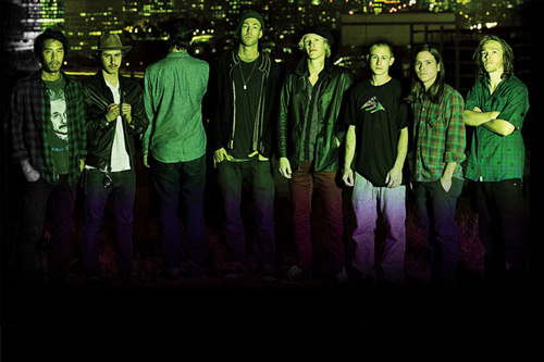 Emerica Stay Gold